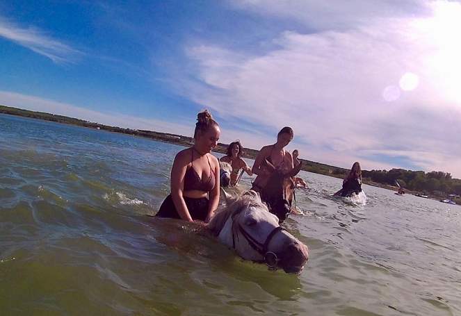 Young women sitting atop horses that are swimming near Zadar, Croatia