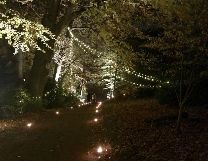 white lights of the Magic Forest at Sofiero Slott.
