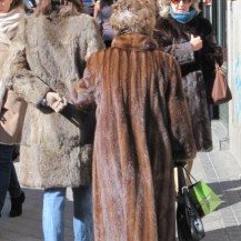 Fur, fur and more fur